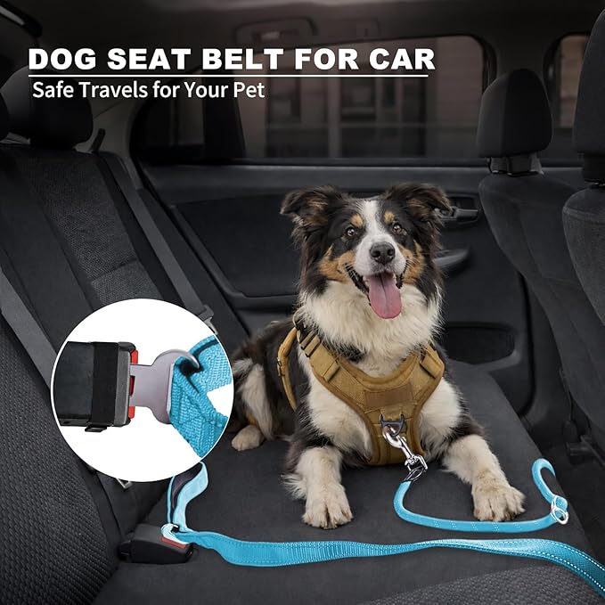 10FT Hands Free Dog Leash for Small Medium Large Dogs, Heavy Duty Reflective Dog Leash with Traffic Handle, Seat Belt Buckle & Poop Bag Holder (Blue)