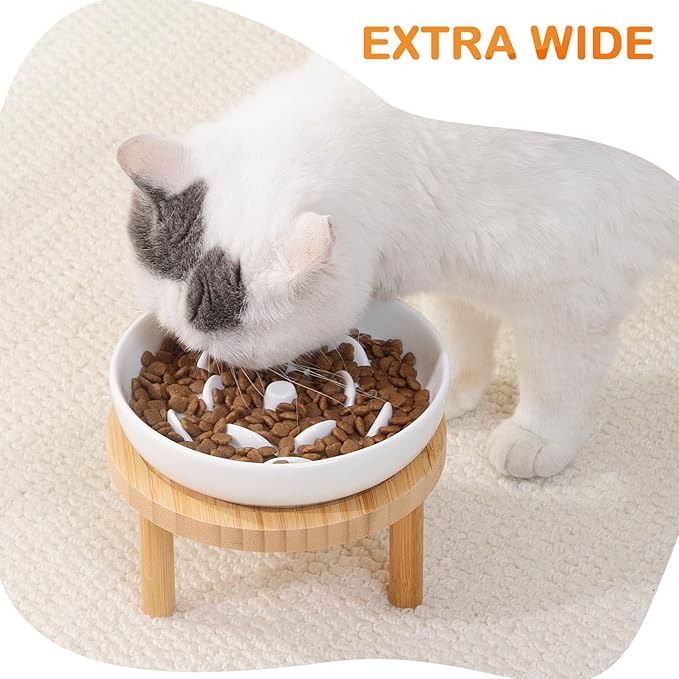 Raised Slow Feeder Cat Bowl, 5.9 Inch Wide Shallow Ceramic Elevated Glass Food Bowl Puzzle Feeders, Anti Vomit Cat Dish, Whisker Friendly Pet Plates Feeding Station for Indoor Cats, Kitten(1 Set)