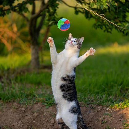 Nicunom 60 PCS Cat Pom Pom Balls, 1.7Inch Rainbow Cat Toy Balls, Soft Plush Cat Ball Fuzzy Kitty Balls Colorful Kitten Puff Ball for Pet Kitten Interactive Playing Exercising Chasing
