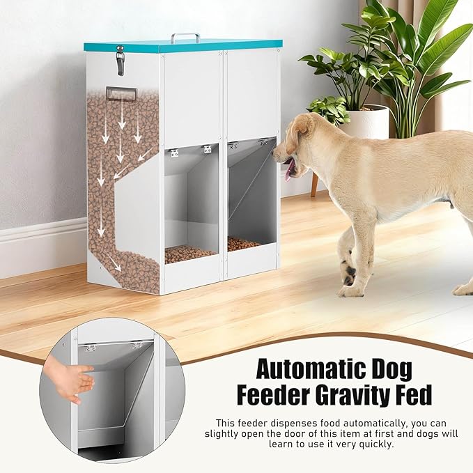 Gravity Automatic Dog Feeder for 2 Dogs - No Assembly Required, 46Lbs Capacity, Galvanized Metal Self Feeding Dog Food Dispenser, Double Pet Feeder for Outdoor and Indoor Use