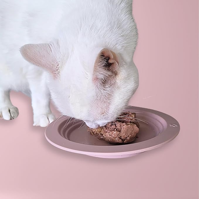 EcoLeo Whisker Friendly Cat Food Dish, Platinum Silicone, LFGB Certified Non-Toxic, Anti Whisker Fatigue, Low Profile, Shallow, Non Slip, Cat Dog Kitten Feeding Dish_Green