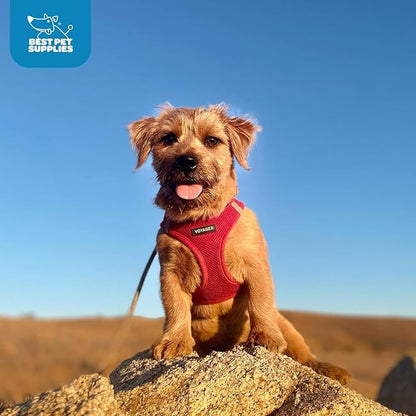 Best Pet Supplies Voyager Step-in Air Harness - All Weather Mesh, Reflective, No Pull Harness for Dogs, Cats - Secure with Hook & Loop Fastener, Buckle, Double D-Rings - Red, XS