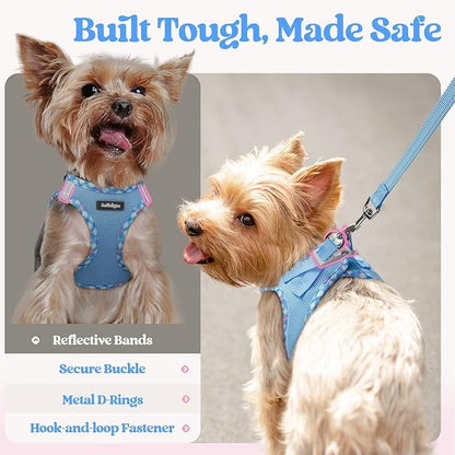 rabbitgoo Dog Harness Small Sized and Leash Set, Step in Soft Light Puppy Vest, Breathable Mesh Pet Harness, Reflective for Safe Easy Walking, Blue & Plaid Trim M
