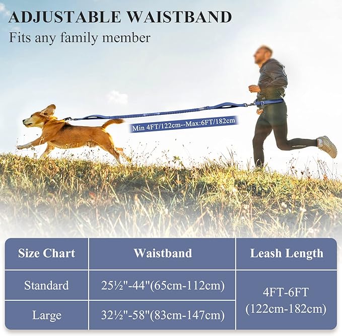 VIVAGLORY Hands Free Dog Leash Bungeeone Running Dog Leash with Waist Belt for Running Walking & Jogging, Bungee & Around Waist for Pet, M, Navy Blue/Black