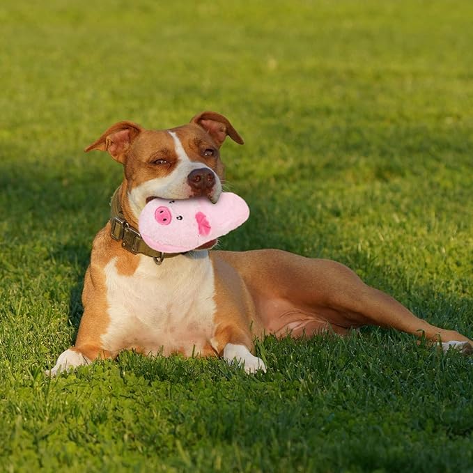 Andiker Dog Squeaky Toy, Cute Slipper Shaped Dog Chew Toys with a Squeaker and Crinkle Paper, Hide Food Puppy Stuffed Toy for Small Medium Dogs to Bite and Relieve Boredom and Stress (Pink)