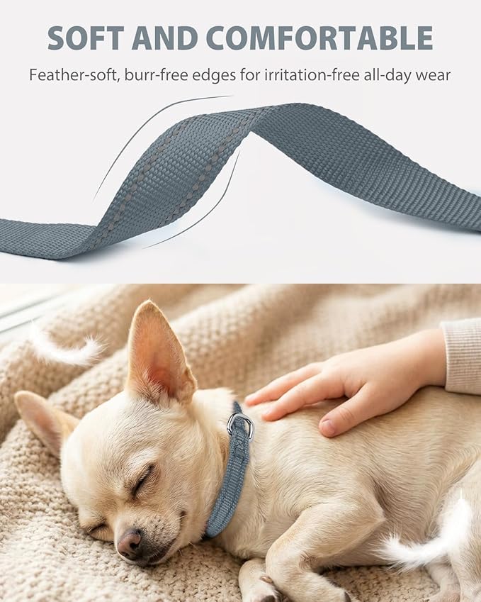 Joytale Puppy Collar, Feather-Light Double-Sided Reflective Nylon Collar for Night Safety, Adjustable Quick-Release for Extra Small Dogs, Gray, XS (3/8" Width)