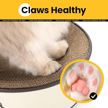 Large Oval Cat Scratcher Bowl, Cardboard Cat Scratching Pad & Lounge Bed, High-Density Reversible Cat Nest for Large Indoor Cats, Furniture Protector with Ergonomic Curve, Gift Catnip Included
