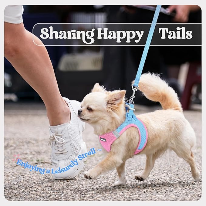 rabbitgoo Dog Harness Small Sized and Leash Set, Step in Soft Light Puppy Vest, Breathable Mesh Pet Harness, Reflective for Safe Easy Walking, Blue & Light Pink XXXS