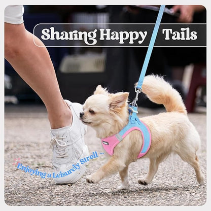 rabbitgoo Dog Harness Small Sized and Leash Set, Step in Soft Light Puppy Vest, Breathable Mesh Pet Harness, Reflective for Safe Easy Walking, Blue & Light Pink XXS