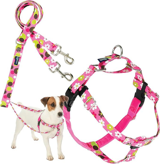 2 Hounds Design - Freedom No-Pull Harness & Training Leash in Pink Daisy | Dual Leash Loops, No Pulling on Walks | Lined to Prevent Chaffing | for Small Sized Dogs (Size S, Chest 20”- 24”)