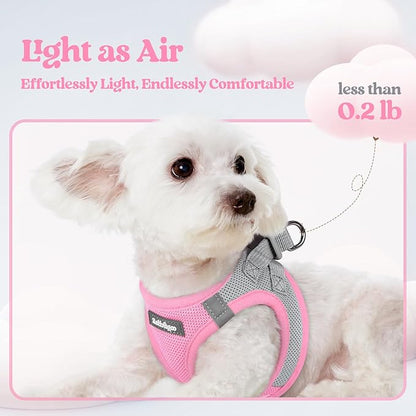 rabbitgoo Dog Harness Small Sized and Leash Set, Step in Soft Light Puppy Vest, Breathable Mesh Pet Harness, Reflective for Safe Easy Walking, Pink & Gray XXS