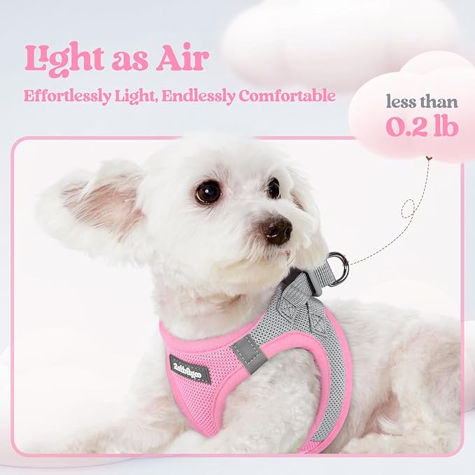 rabbitgoo Dog Harness Small Medium Sized and Leash Set, Step in Soft Light Puppy Vest, Breathable Mesh Pet Harness, Reflective for Safe Easy Walking, Pink & Gray L