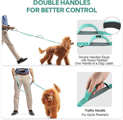 Hands Free Dog Leash, Waist Leash for Dog Walking, Dog Walking Accessories, Retractable Bungee with Double Padded Handles, Green