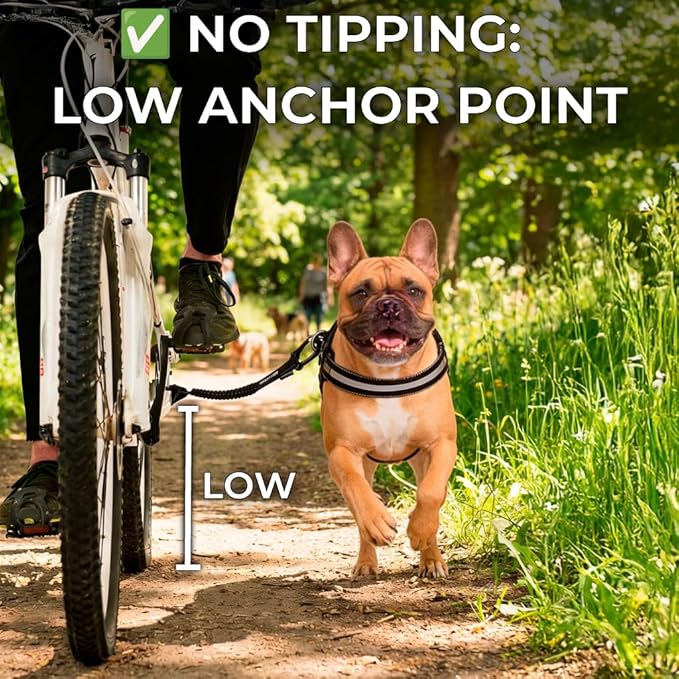 BIKE AND DOG - Dog Leash and Harness for Bicycle, Harness with 3 Rings, 2 are Sides, Includes 2 Special Cable Ties for Bicycle. Patented. (Black, Leash & Harness M)