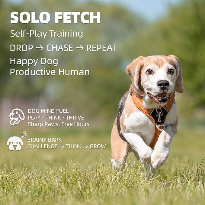 Automatic Dog Ball Launcher-Small Silent Dog Ball Thrower, 3 Adjustable Distances (20ft/33ft/46ft), Rechargable,Includes 3 Durable 2.3" Balls for Small/Medium Dogs (Yellow, Medium)