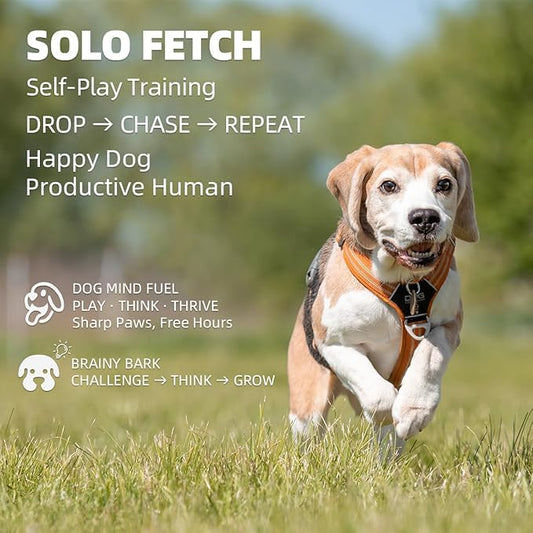 Automatic Dog Ball Launcher-Small Silent Dog Ball Thrower, 3 Adjustable Distances (20ft/33ft/46ft), Rechargable,Includes 3 Durable 2.3" Balls for Small/Medium Dogs (Orange, Medium)