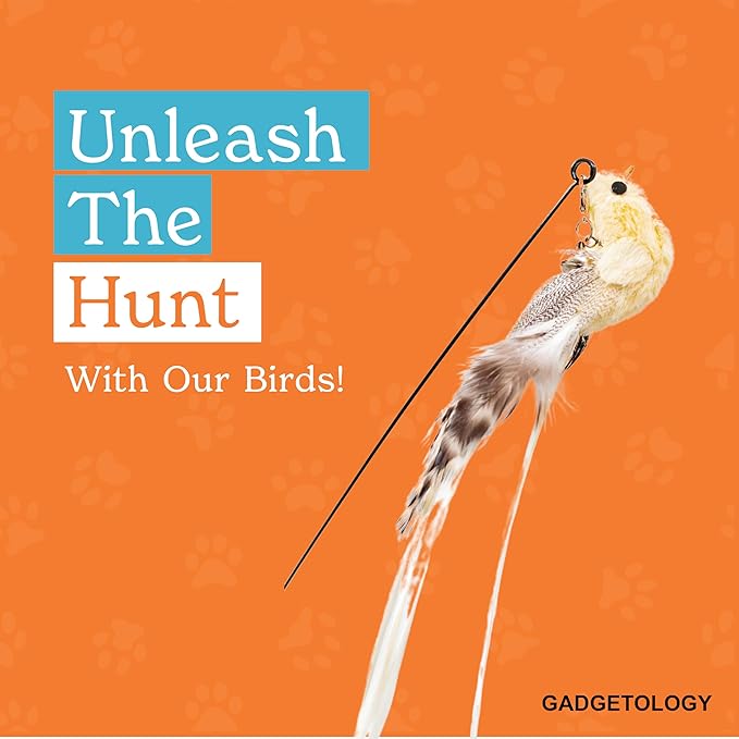 Bird Toy for Cats - 5 Pack Natural Feathers Stable Round Base - Interactive Wand Teaser - Self Play Hunting Enrichment - Bored Indoor Adult Feline Activity - Stimulating Kitten Juguetes para Gatos