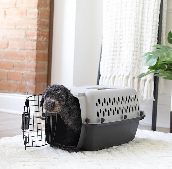 Pet Portable Kennel for Dogs, Hard-Sided Travel Carrier, Durable, Metal Door, Black & Grey, for Pets up to 10 lbs, 19" L x 12.3" W x 10.8" H