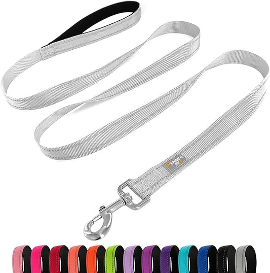Dog Leash 6 FT Padded Handle Nylon Reflective Dogs Leashes for Medium Dogs Silver
