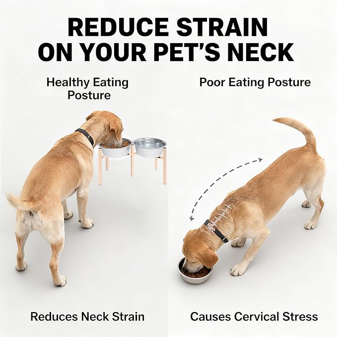 Adjustable Elevated Dog Bowl Stand, Metal Feeder Riser for Large Medium Dogs, Portable Travel Design, Slow Feeder Compatible (Without Bowls)