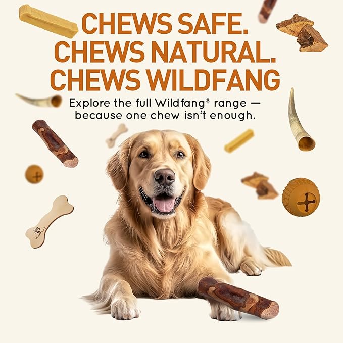 Wildfang® Olive Wood Chewing Sticks for Dogs, Medium - Tough Chew Toys for Aggressive Chewers, Puppy Chew Toys for Teething, Training for Chewing Muscles, Olive Wood Stick for Dog (33-55lbs), 3pack