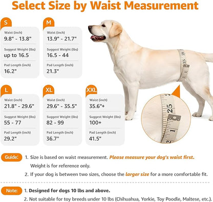 LOOBANI Portable Dog Sling for Back Legs, Hip Support Harness to Help Lift Dogs Rear for Canine Aid and Old K9 Cruciate Ligament Rehabilitation