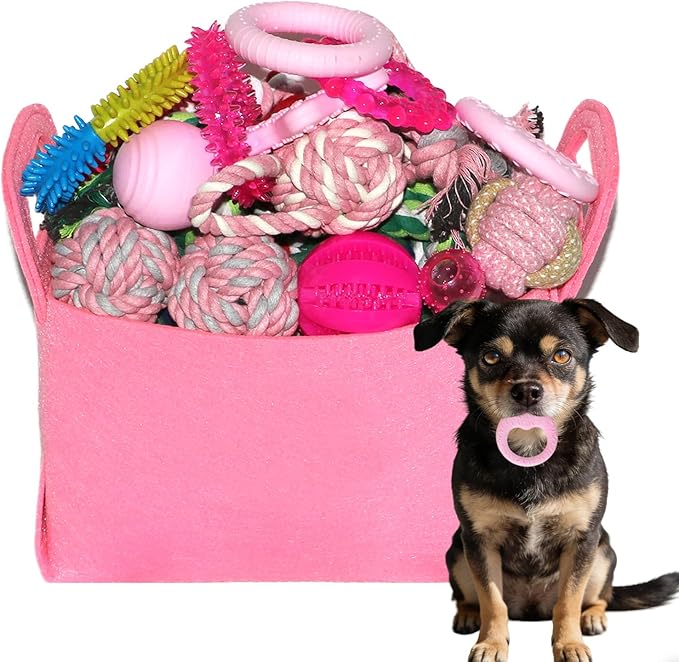 Puppy Toys Set - 20 Pack Pink Dog Chew Toys for Teething Small Breeds - Tough Rope Toys for Puppies, Cute Soft Rubber Toys Bundle with Basket for Girl Pets