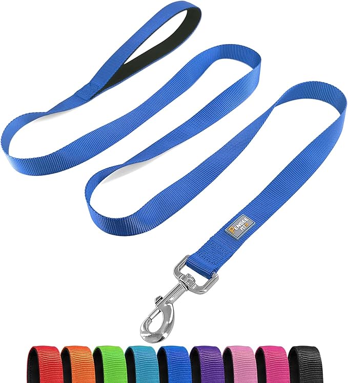 Basic Dog Leashes 6 FT Padded Handle Nylon Dogs Leashes for Small Dogs Blue