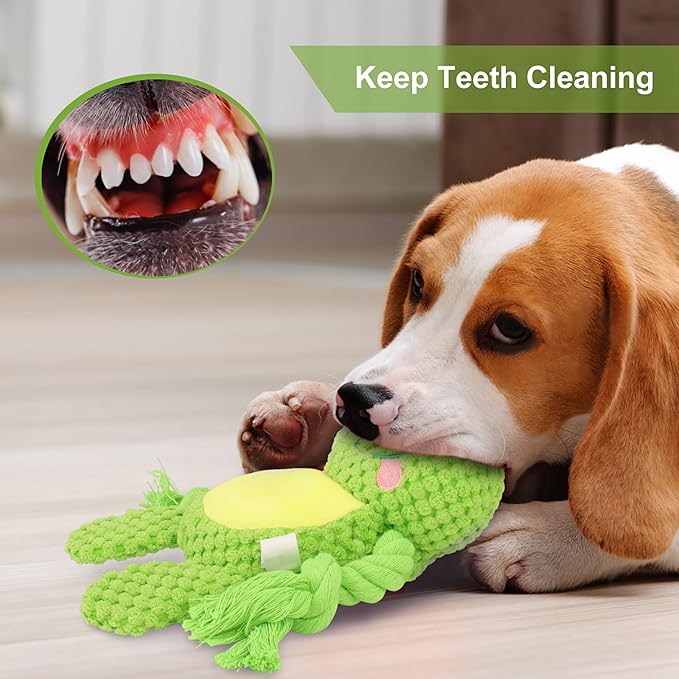 Dog Toys, Dog Squeaker Toys with Crinkle Paper, Stuffed Animal Dog Plush Chewing Toy, Cotton Rope Interactive Toys for Puppy, Small, Middle Dogs (Green Frog)