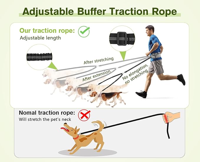 Pecute Dog Leash Hands Free 2 Dogs, Waist Belt Fanny Pack with Soft Padded, Dual Leash with Pouch, Two Handles, Durable Bungee, Dog Seat Belt, Running Walking Hiking Biking