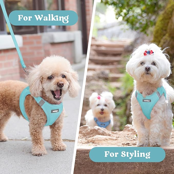 rabbitgoo Small Dog Harness, Step-in Soft Mesh Puppy Vest with Safety Buckle, Breathable Reflective Pet Harness for Small Medium Dogs, Mint Blue L