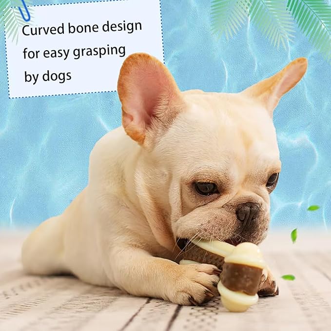 Dog Bones Chew Toys for Aggressive Chewers, 2 Pack Real Beef Flavor,Indestructible Teething Chew Toys for Large/Medium/Small Breed,Tough Toy with Durable Nylon