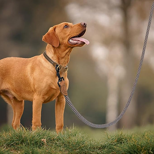 Mile High Life Rope Leash with Genuine Leather Connection, 6 FT/5 FT/4 FT, Heavy Duty Leash for Medium & Large Dogs (Brown, 60 Inch)