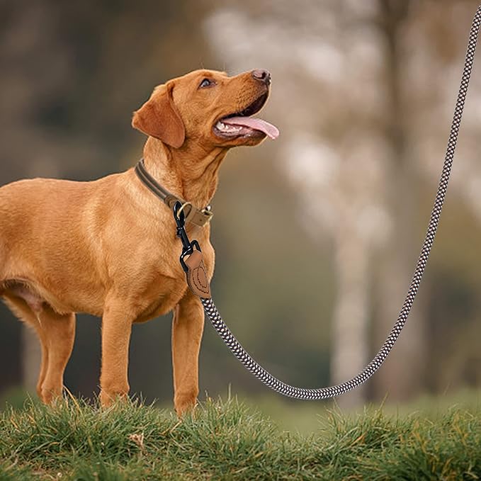 Mile High Life Rope Leash with Genuine Leather Connection, 6 FT/5 FT/4 FT, Heavy Duty Leash for Medium & Large Dogs (Brown, 72 Inch)