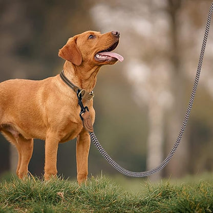 Mile High Life Rope Leash with Genuine Leather Connection, 6 FT/5 FT/4 FT, Heavy Duty Leash for Medium & Large Dogs (Brown, 72 Inch)