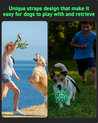 QDAN Premium Dog Ball, Glow in The Dark Dog Toys, Light Up Soccer Ball for Dogs, Outdoor Dog Toys, Doggy Water Toy, Puppy Birthday Gifts for Small Medium (6 Inch)