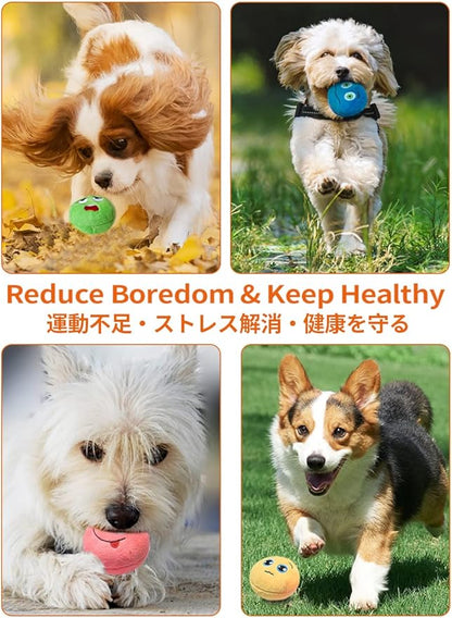 SCHITEC Squeaky Dog Toys, [6 Pack] Soft Stuffed Plush Balls with Squeakers, Interactive Fetch Play for Puppy Small Pets