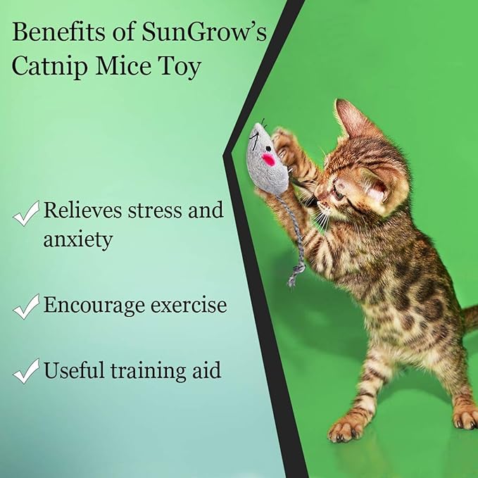 SunGrow Cat Catnip Mice Toys, Furry Plush for Hunting and Pouncing Instinct, 2”, Interactive, Encourages Agility, Coordination, Fun for Hours, Multicolor, 10 Pcs per Pack