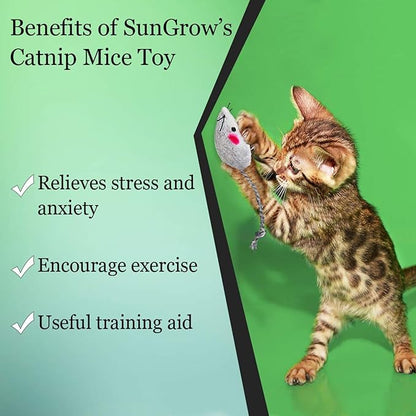 SunGrow Cat Catnip Mice Toys, Furry Plush for Hunting and Pouncing Instinct, 2”, Interactive, Encourages Agility, Coordination, Fun for Hours, Multicolor, 10 Pcs per Pack