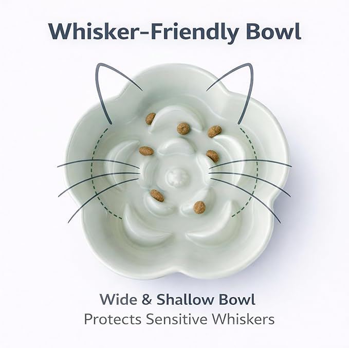 Ceramic Elevated Slow Feeder Cat Bowl, Raised and Gently Tilted Feeding Dish with Maze Design, Whisker-Friendly, Easy to Clean, for Indoor Cats and Small Dogs (Green/Ivory)