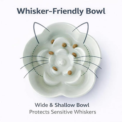 Ceramic Elevated Slow Feeder Cat Bowl, Raised and Gently Tilted Feeding Dish with Maze Design, Whisker-Friendly, Easy to Clean, for Indoor Cats and Small Dogs (Green/Ivory)