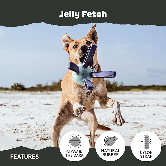 Barkbox Jelly Fetch Dog Toy for Medium Dogs – Perfect for Tug and Fetch Play, Durable Design with Strong Nylon Straps for Long-Lasting Fun