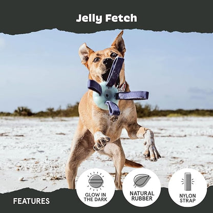 Barkbox Jelly Fetch Dog Toy for Medium Dogs – Perfect for Tug and Fetch Play, Durable Design with Strong Nylon Straps for Long-Lasting Fun