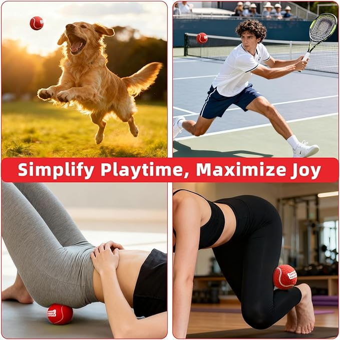 2.5" Dog Tennis Balls 6-Pack Silent Bounce, Tough Rubber Core, Durable Fetch & Training Toys for Indoor/Outdoor Play, for Small Medium Large Dogs (Burgundy Red, 6 Pack)