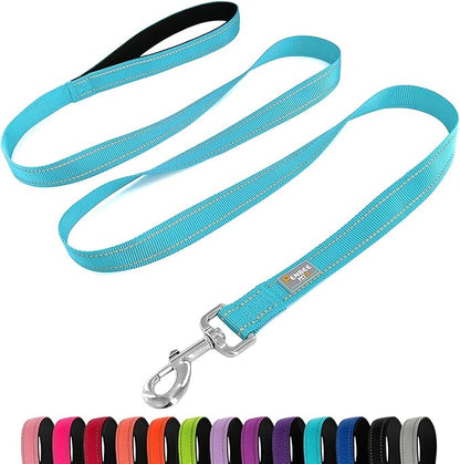 Dog Leash 6 FT Padded Handle Nylon Reflective Dogs Leashes for Medium Dogs Sky Blue