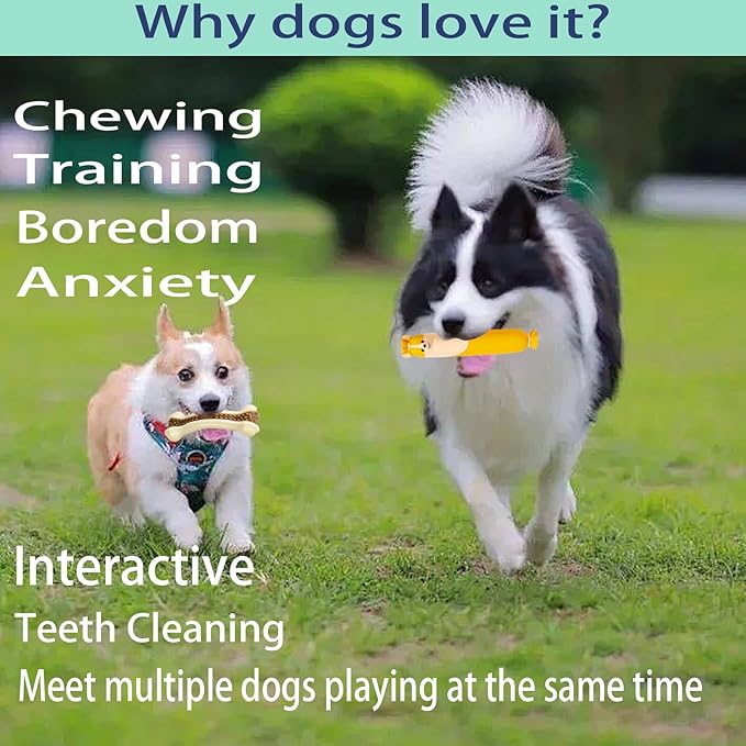 Dog Bone Chew+SqueakyToys for Aggressive Chewers, 2 Pack Real Beef Flavor+1Pack Latex Funny Interactive Toys , Indestructible Teething Toys for Medium/Large/Small Breed, Toy With Durable Nylon