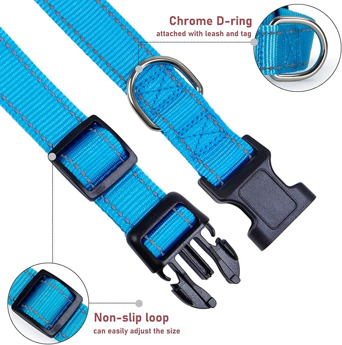 Reflective Dog Collar with Buckle Adjustable Safety Nylon Collars for Small Medium Large Dogs, Sky Blue XS