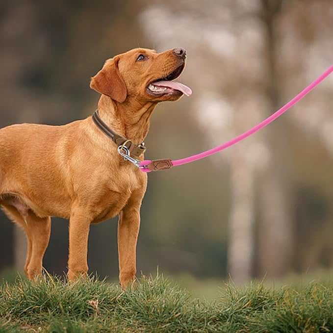 Mile High Life Leather Dog Leash, Heavy Duty Strong Genuine Leather Handle Rope Leash Soft and Comfortable for Small Medium Large Dogs (Hot Pink, 60 Inch)