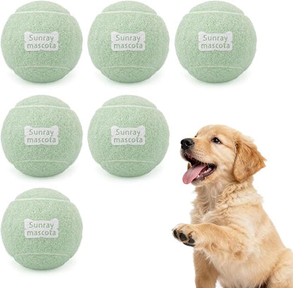 2.5" Dog Tennis Balls 6-Pack Silent Bounce, Tough Rubber Core, Durable Fetch & Training Toys for Indoor/Outdoor Play, for Small Medium Large Dogs (Light Green, 6 Pack)