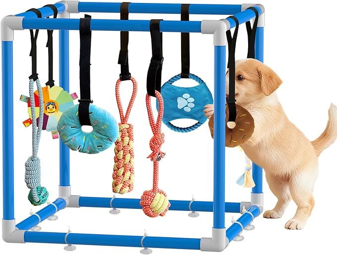 Puppy Play Gym with 8 Hanging Toys Indoor Play Gym Interactive Dog Toys for Boredom Enrichment Activity for Small Dog Teething PVC Frame Stretchy Rope with Velcro (Blue,19.6 x 19.6 x 19.6 inch)